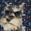 Delantal Schnauzer - Imagen 2